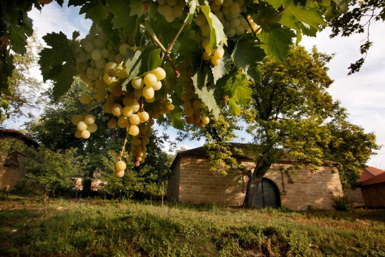 "Pivnica I Smestaj Jovanovic"- Rogljevacke Pivnice Rogljevo Exterior photo