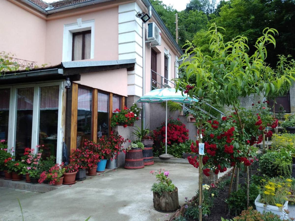 "Pivnica I Smestaj Jovanovic"- Rogljevacke Pivnice Rogljevo Exterior photo
